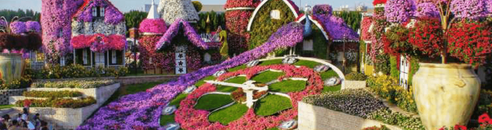 miracle Garden in Dubai