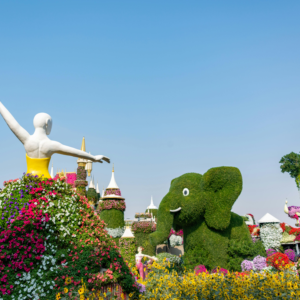 The miracle garden