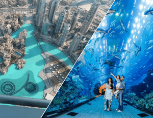 burj khalifa and aquarium